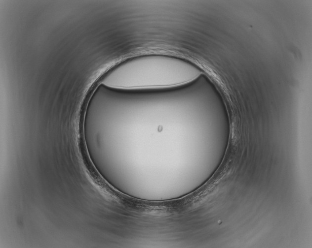 X0000112050438200908040953