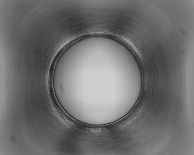 X0000112050439200908040953