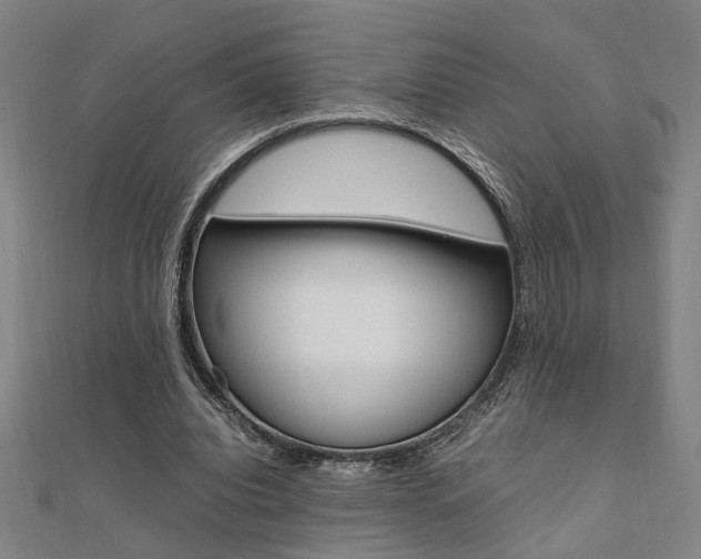 X0000112050440200908040953