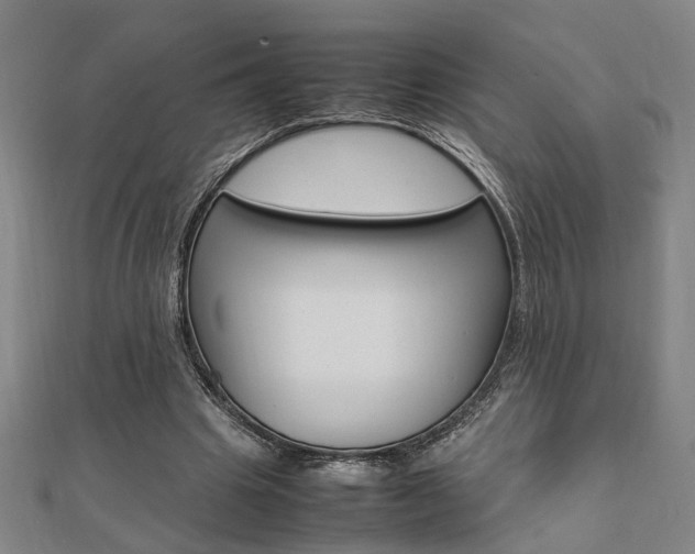 X0000112050441200908040953