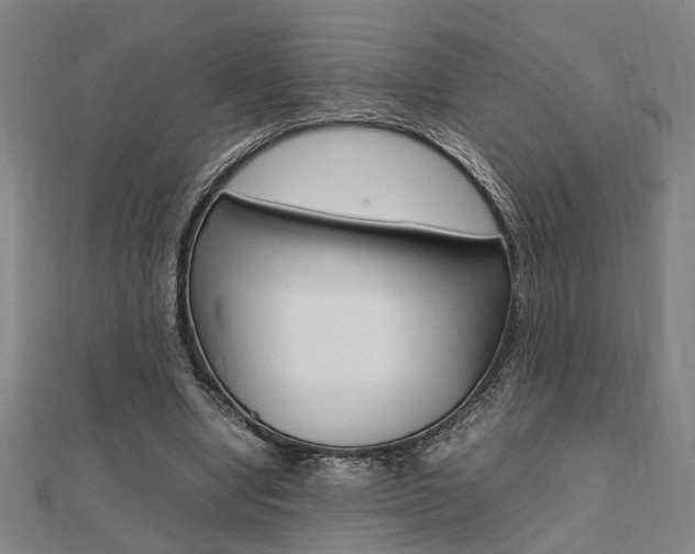 X0000112050442200908040953