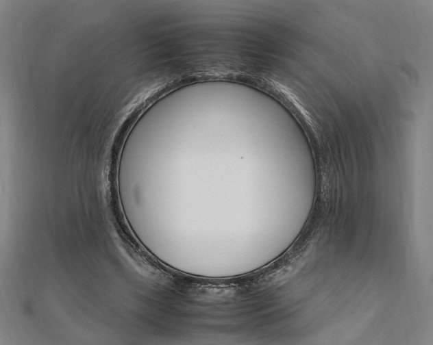 X0000112050443200908040953