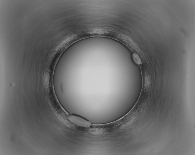 X0000112050444200908040953