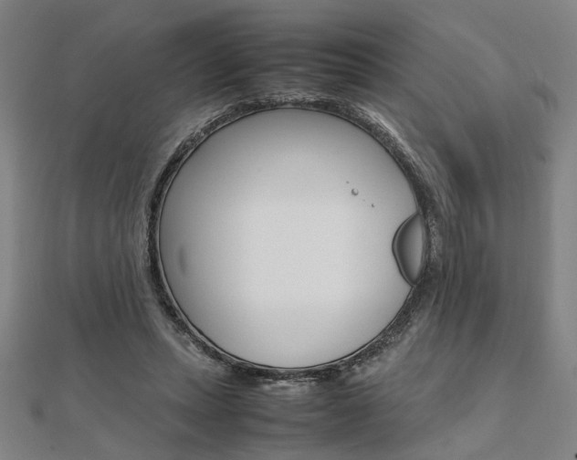 X0000112050447200908040953