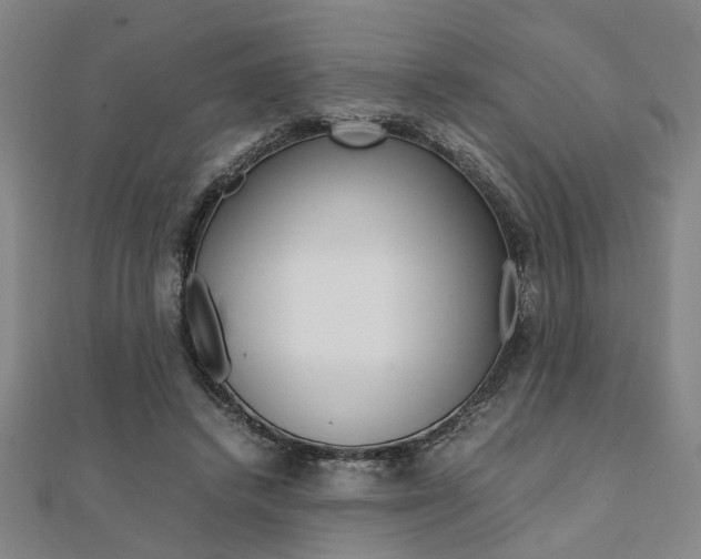 X0000112050448200908040953