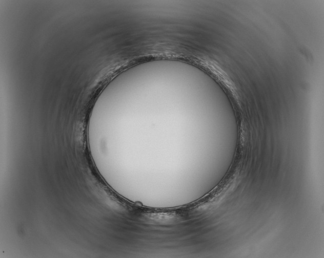 X0000112050449200908040953