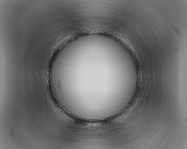 X0000112050450200908040953