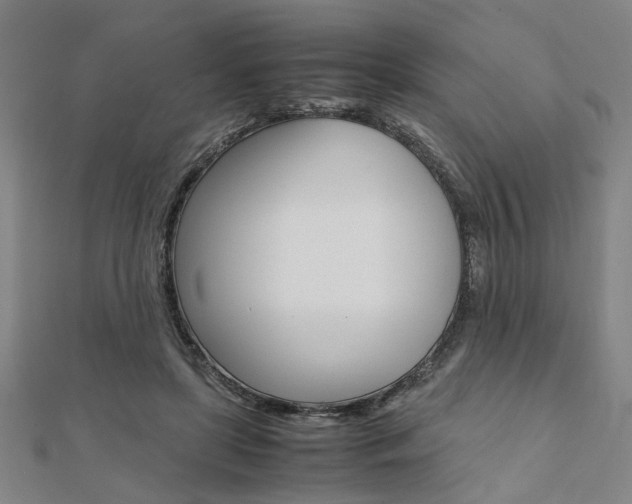 X0000112050451200908040953