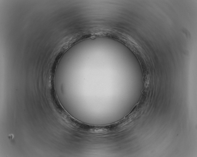 X0000112050452200908040953