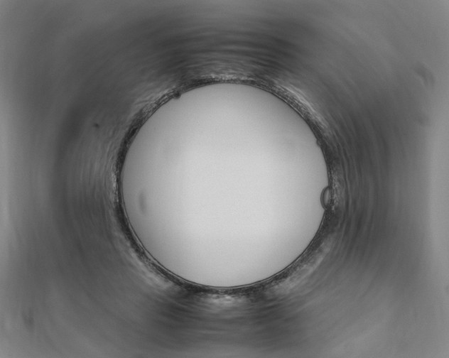 X0000112050453200908040953