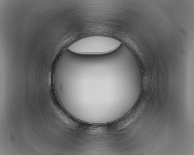 X0000112050454200908040953