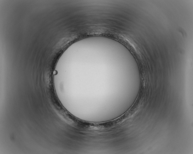 X0000112050455200908040953