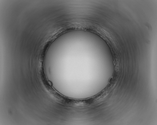 X0000112050456200908040953