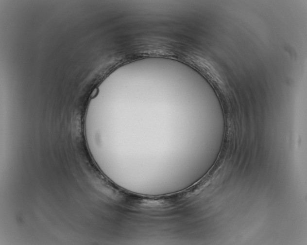 X0000112050457200908040953