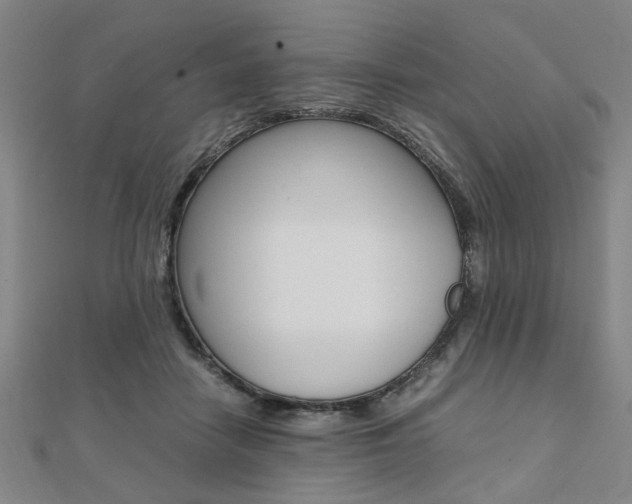 X0000112050458200908040953