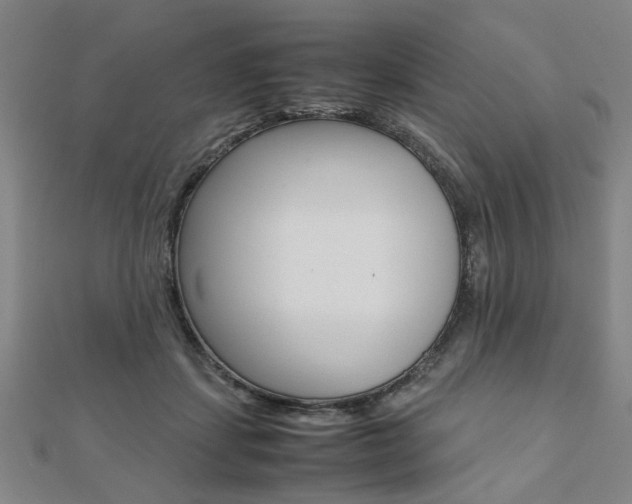X0000112050459200908040953