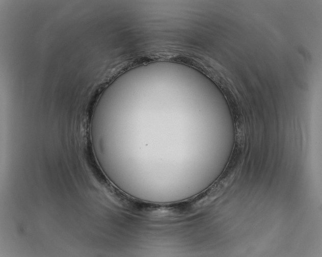 X0000112050460200908040953