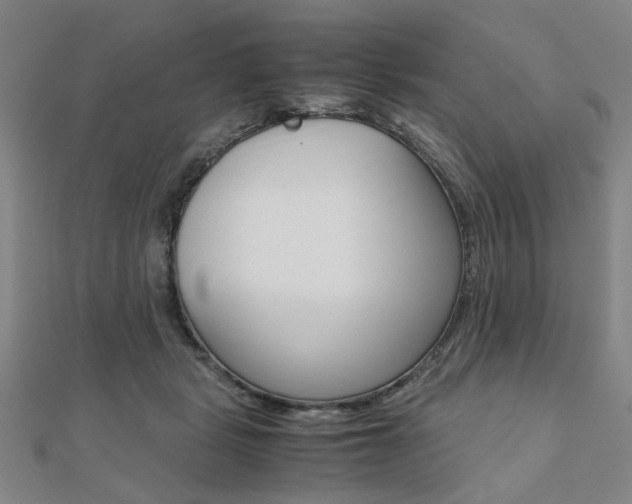 X0000112050461200908040953