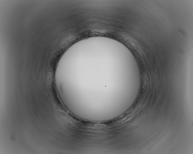 X0000112050463200908040953