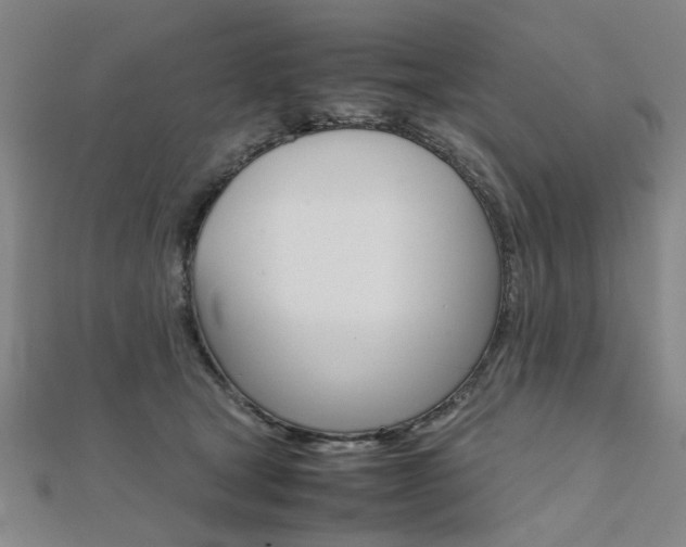 X0000112050465200908040953