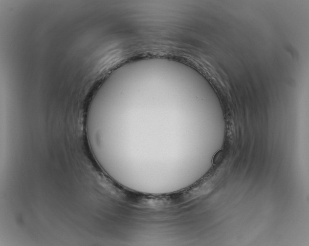 X0000112050466200908040953