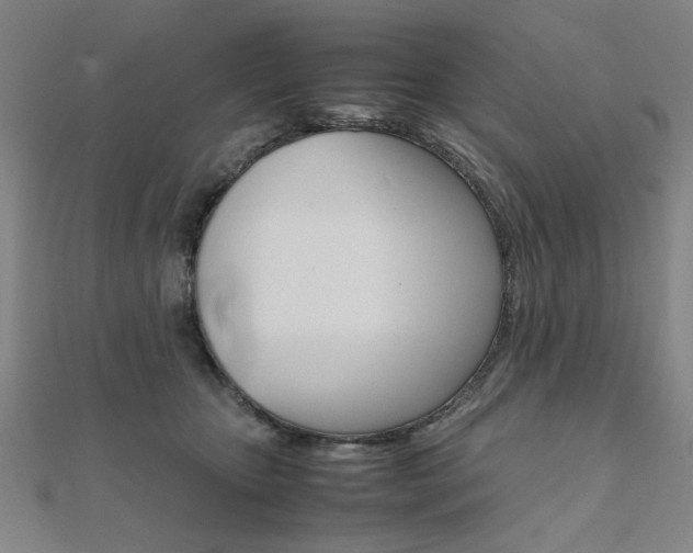 X0000112050467200908040953