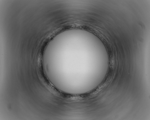 X0000112050468200908040953