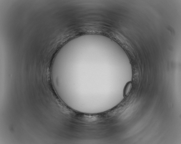 X0000112050469200908040953