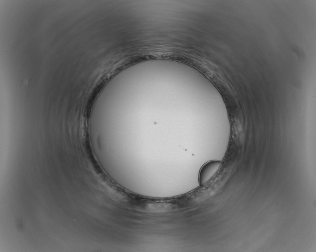 X0000112050470200908040953