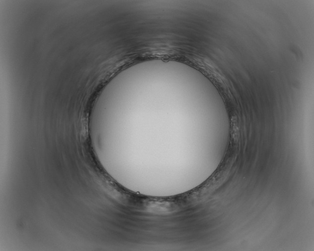 X0000112050471200908040954