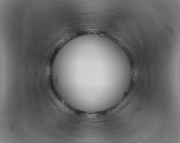 X0000112050472200908040954