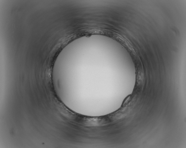 X0000112050473200908040954
