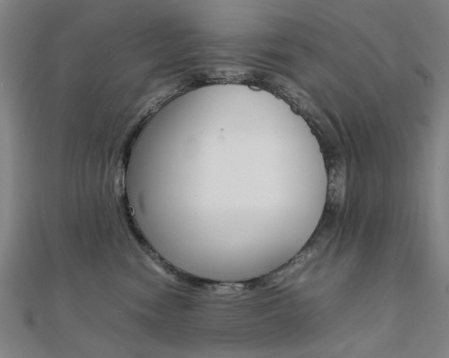 X0000112050474200908040954
