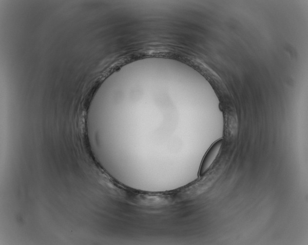 X0000112050475200908040954