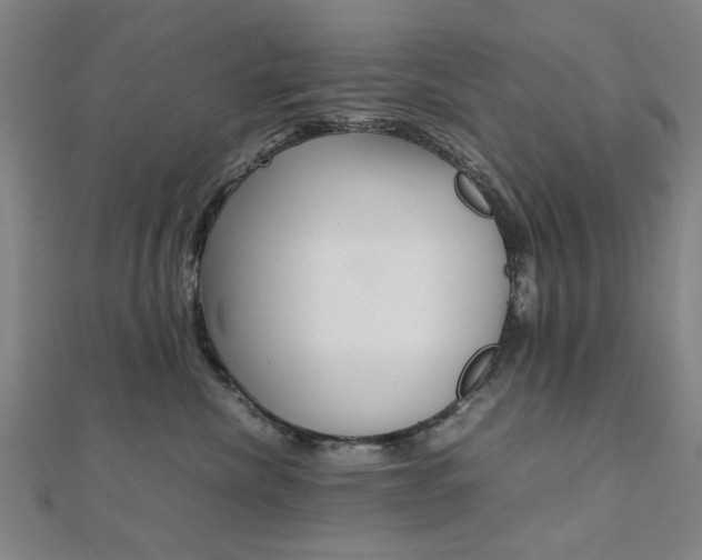 X0000112050476200908040954