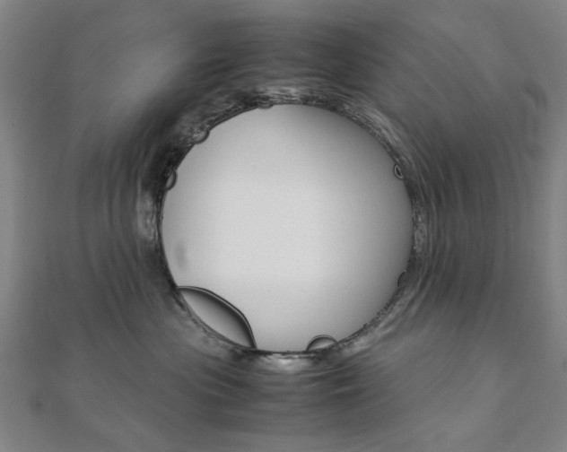 X0000112050477200908040954