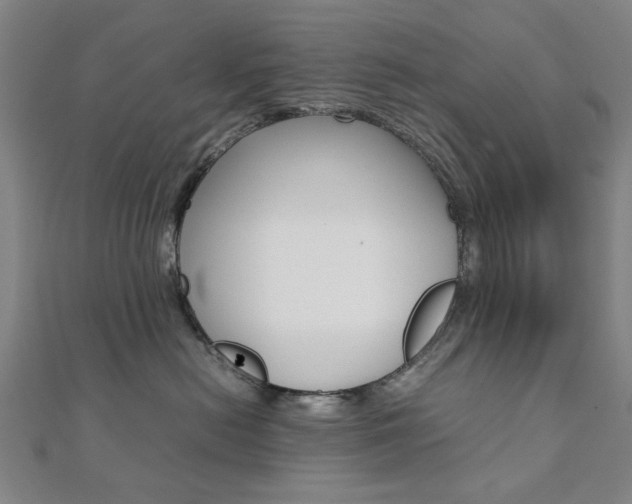 X0000112050478200908040954