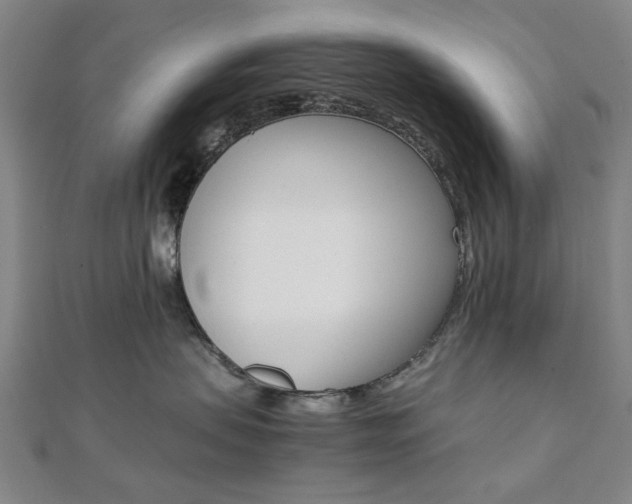 X0000112050479200908040954