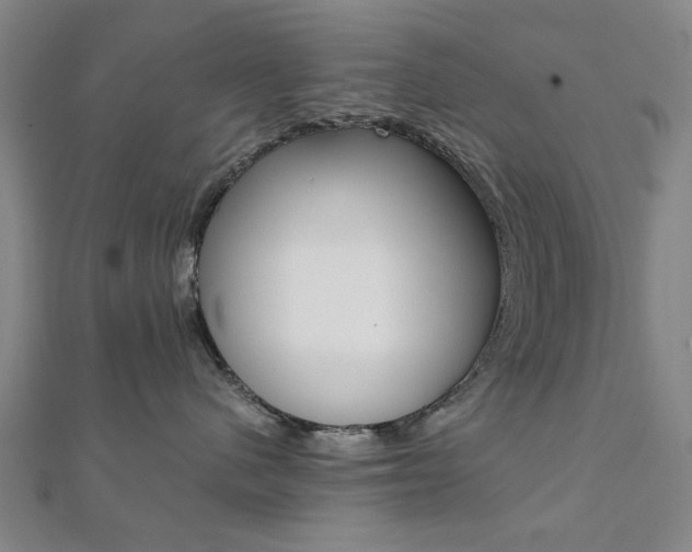 X0000112050480200908040954