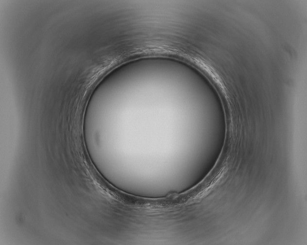 X0000112050481200908040953