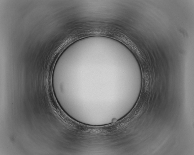 X0000112050482200908040953