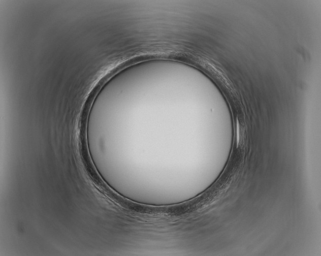 X0000112050483200908040953
