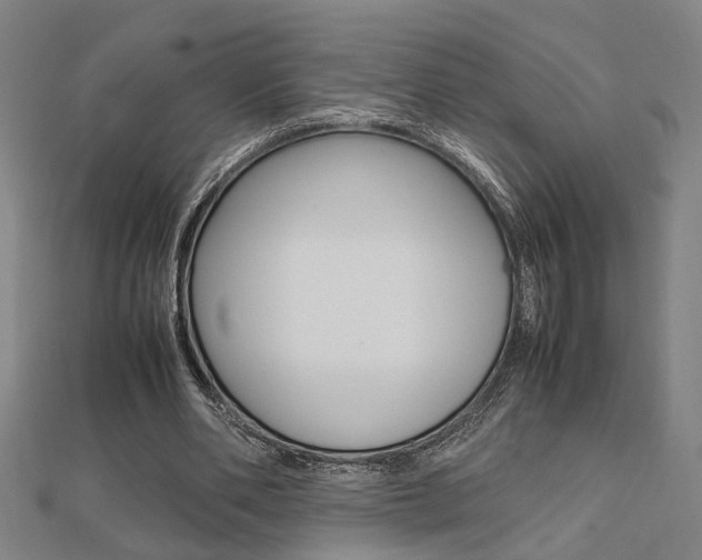 X0000112050486200908040953