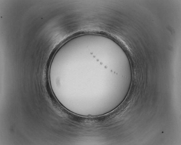 X0000112050487200908040953