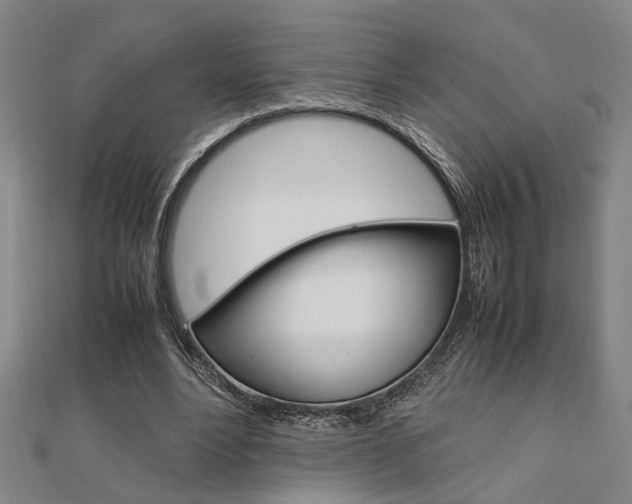X0000112050488200908040953