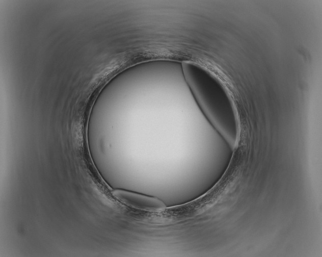 X0000112050489200908040953
