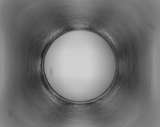 X0000112050490200908040953