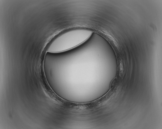 X0000112050492200908040953