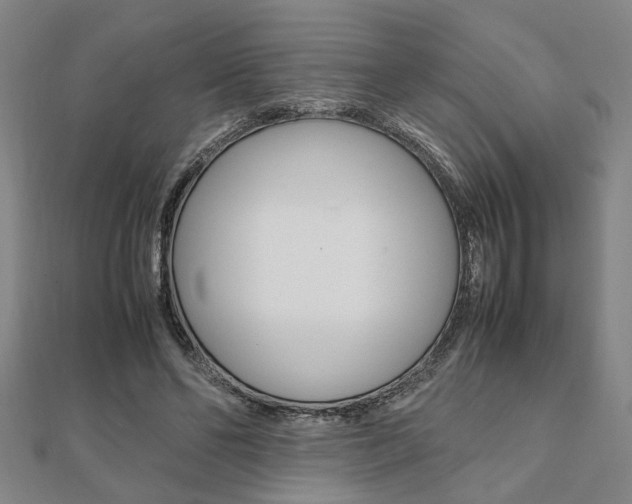 X0000112050494200908040953