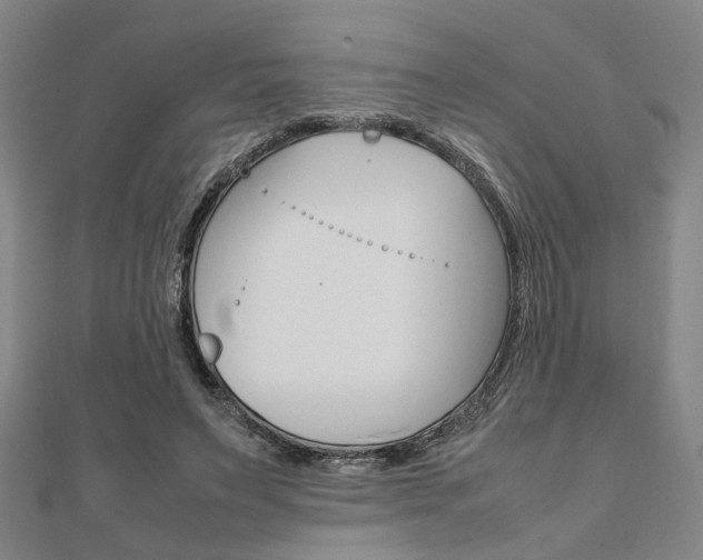 X0000112050495200908040953